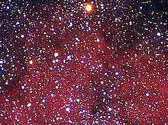 Mu Cephi, near top center of this view of Milky Way stars as seen by the HST.
